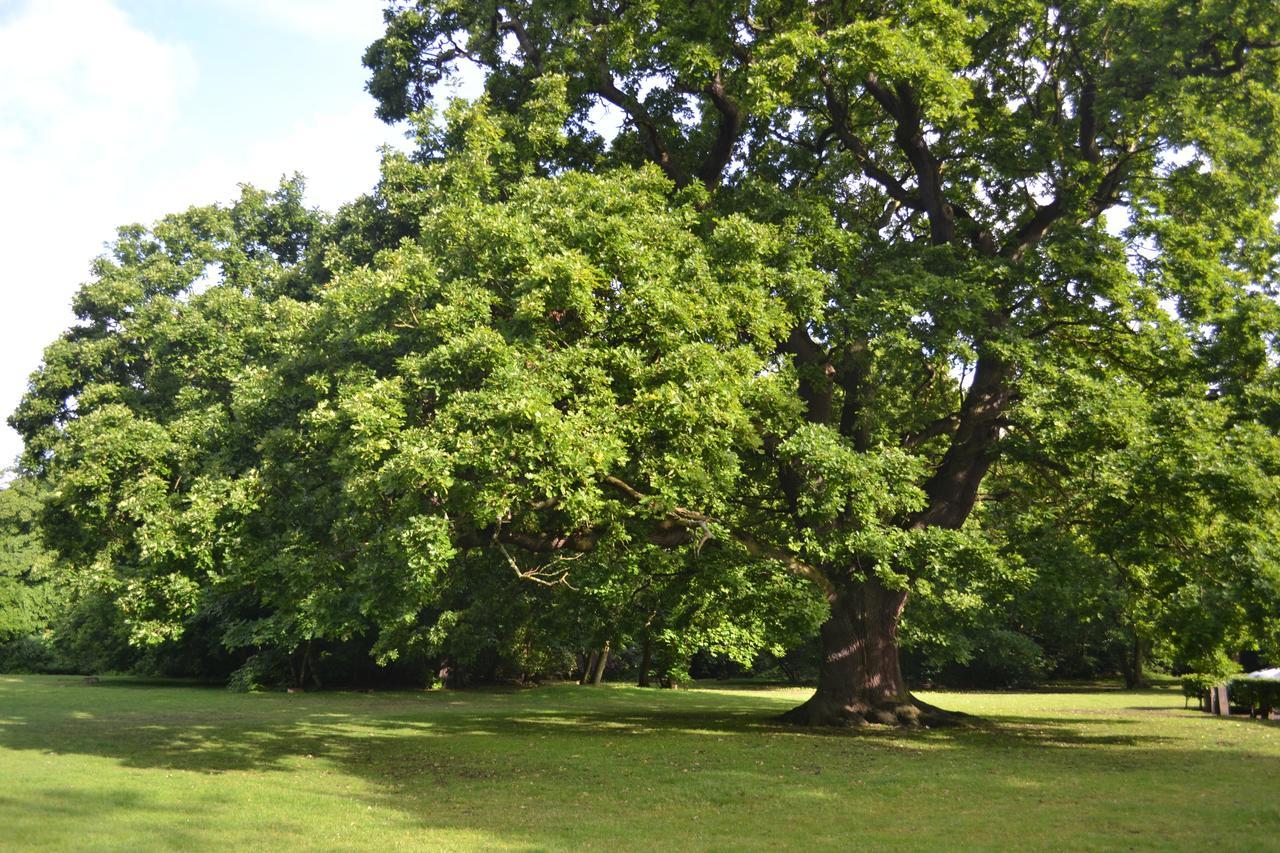 Gilwell Park Hotel Chingford Bagian luar foto