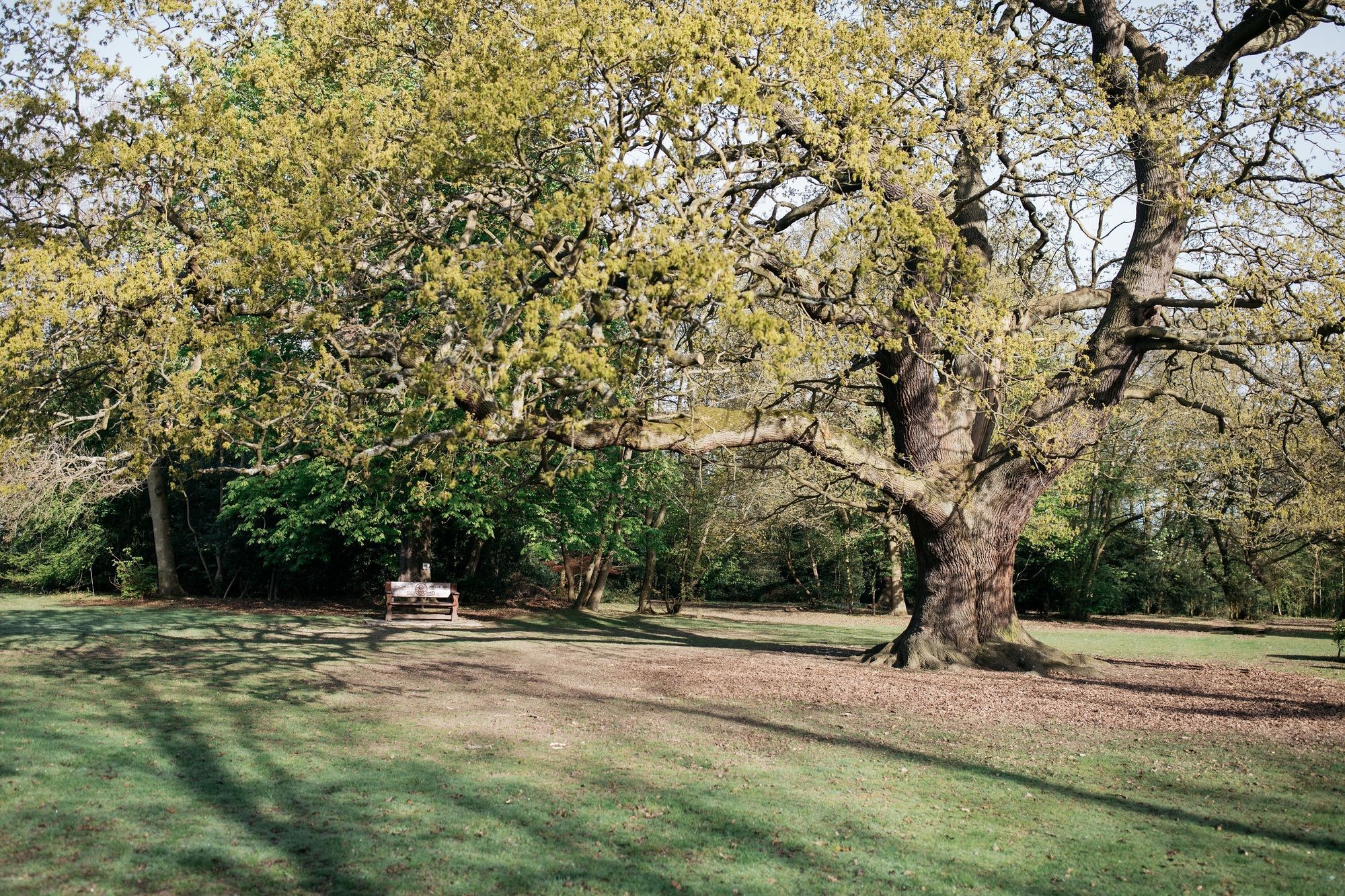 Gilwell Park Hotel Chingford Bagian luar foto